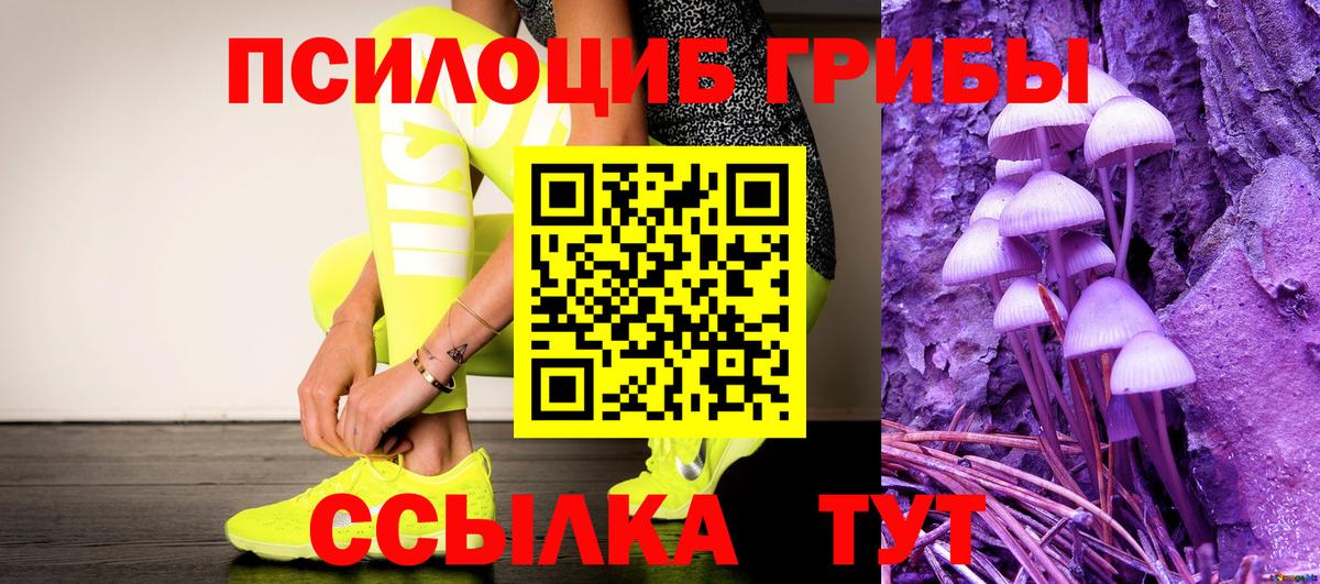 Партизанск  Галлюциногенные грибы Psilocybine cubensis  Псилоцибиновые грибы ЛСД  Вход с VPN 