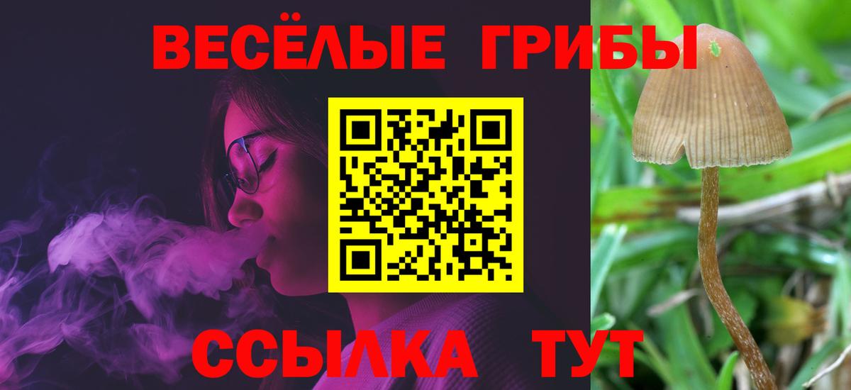 Галлюциногенные грибы GOLDEN TEACHER Партизанск
